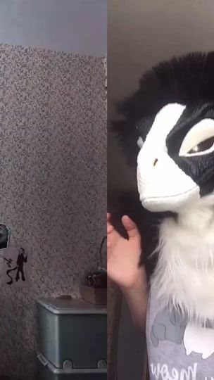 TikTok video thumbnail by miyata_raptor