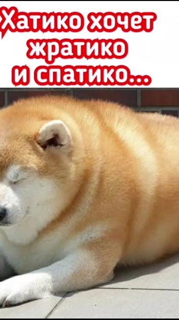 TikTok video thumbnail by shuwaewa35