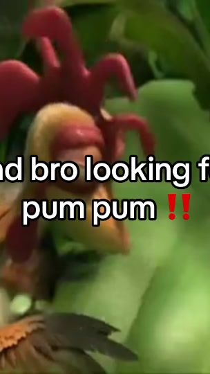 TikTok video thumbnail by wisdoms_of_chickenjoe