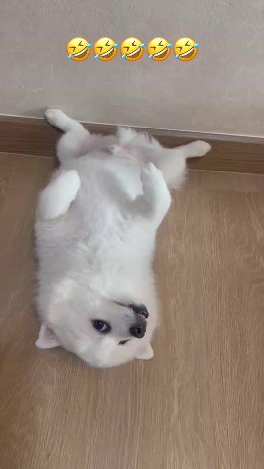 TikTok video thumbnail by pukiris