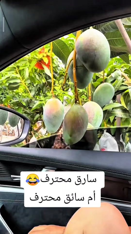 TikTok video thumbnail by jaado33