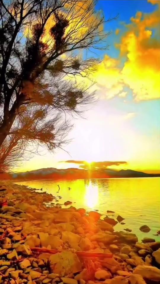 TikTok video thumbnail by s_seyar_s242