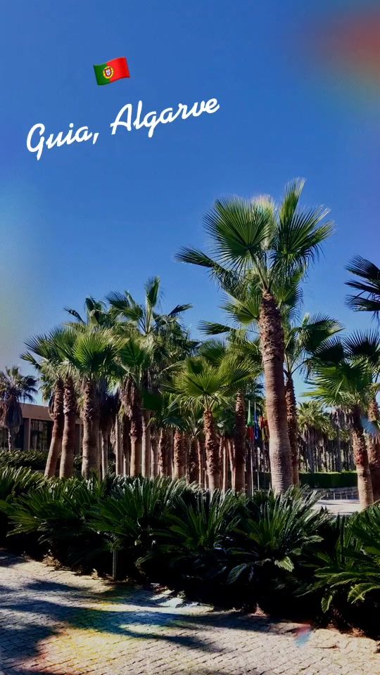TikTok video thumbnail by algarverealestate