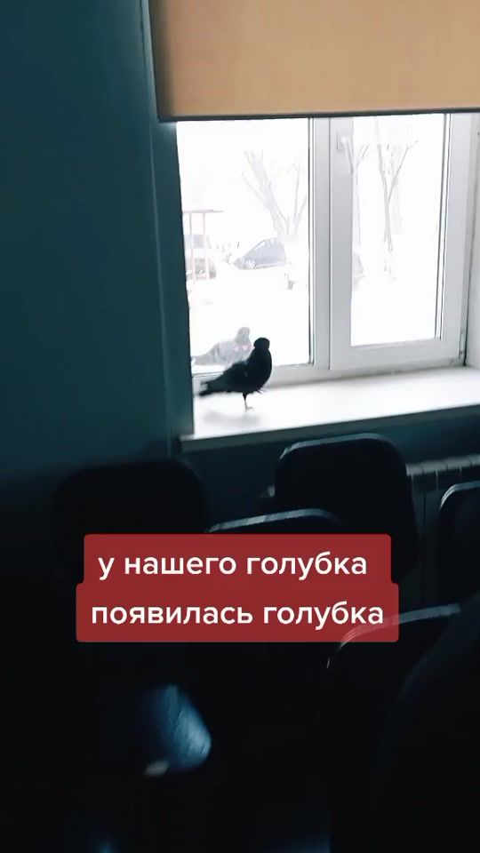 TikTok video thumbnail by ano_nasledie