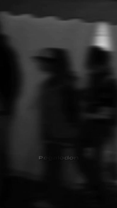 TikTok video thumbnail by pegalodon