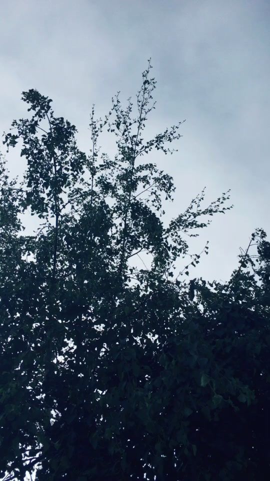 TikTok video thumbnail by roses.boy