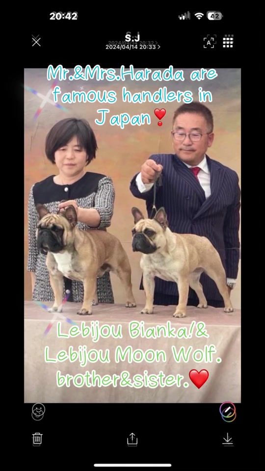TikTok video thumbnail by lebijou8