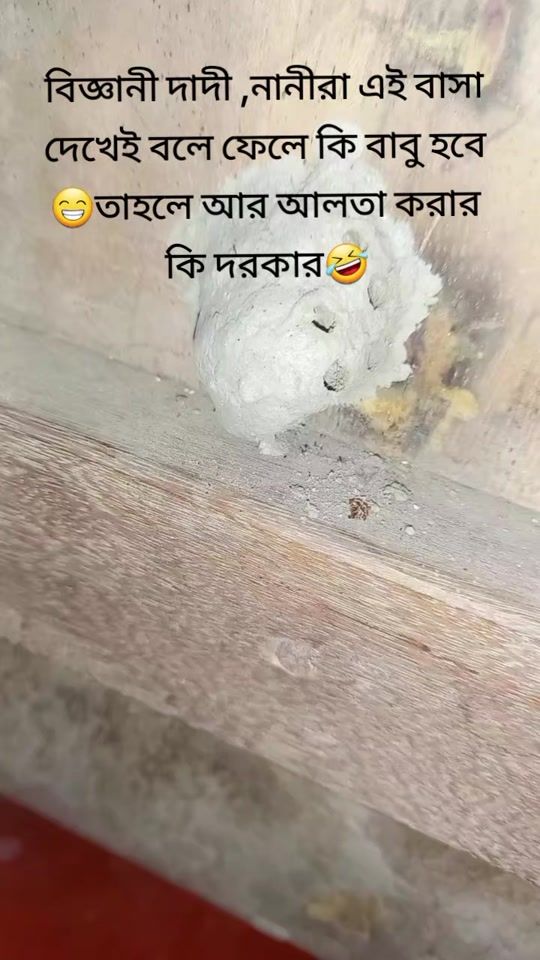 TikTok video thumbnail by nafisheikh91