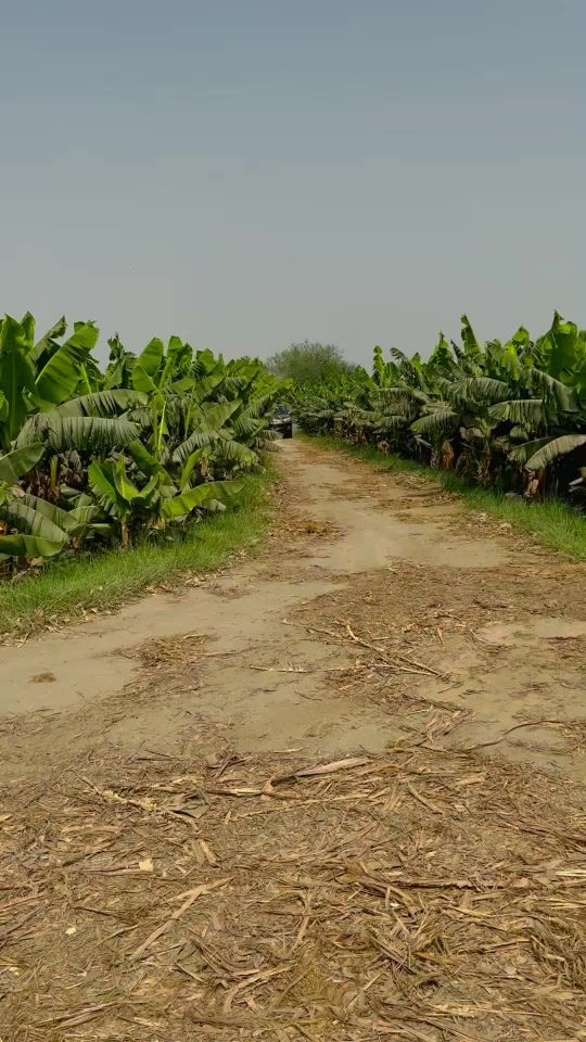 TikTok video thumbnail by junaidrindbaloch