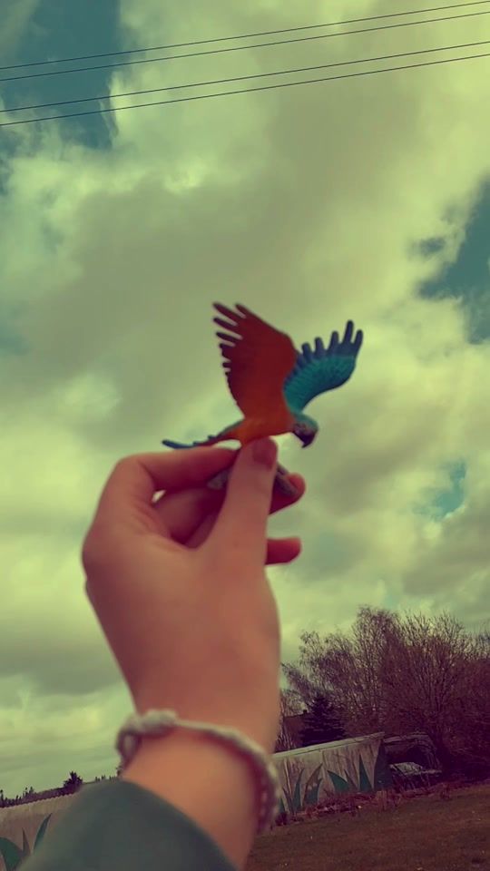 TikTok video thumbnail by ...rxndxm.things