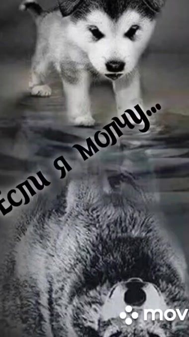 TikTok video thumbnail by evgen08911103