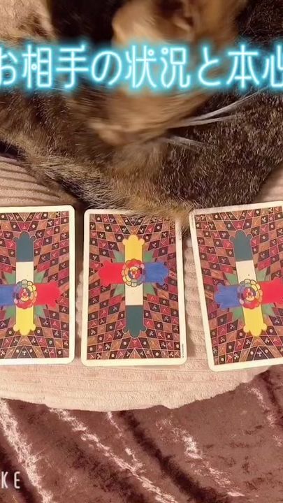 TikTok video thumbnail by luka.tarot