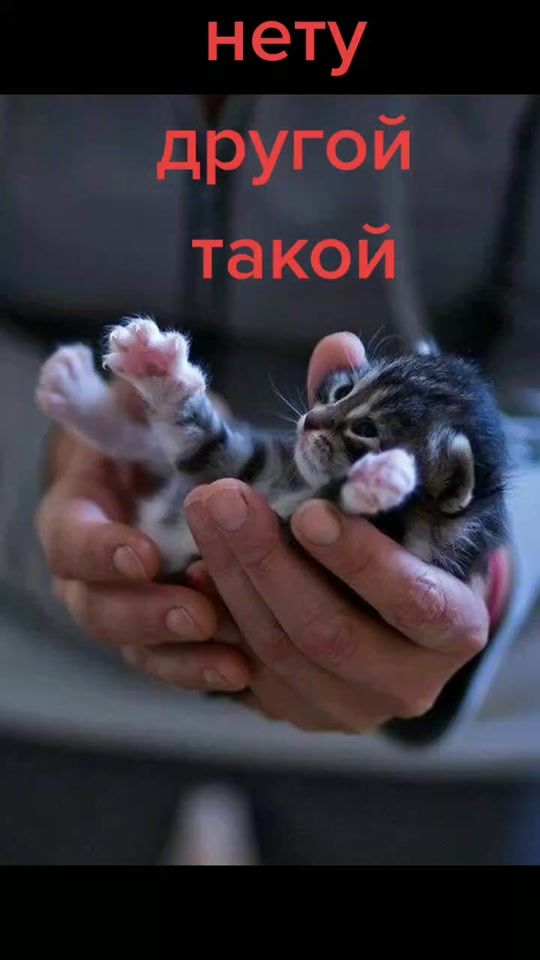 TikTok video thumbnail by emiliaselifanova