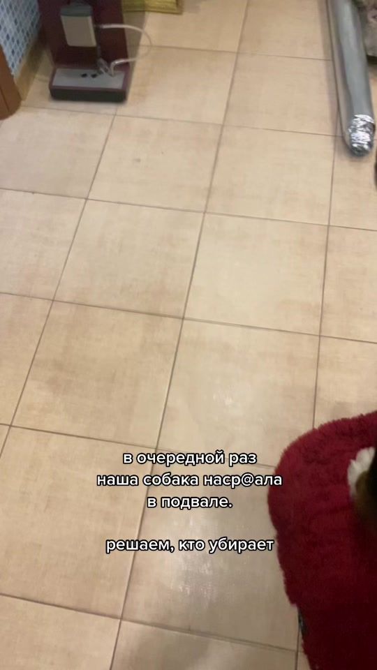 TikTok video thumbnail by katesupruns