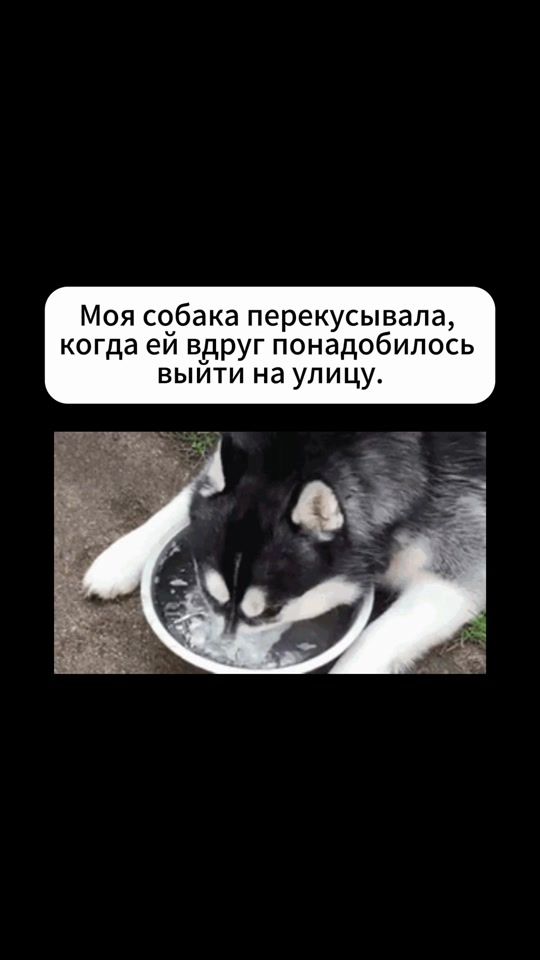 TikTok video thumbnail by xaskitusa