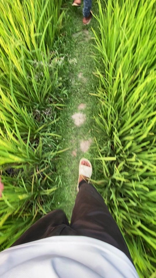 TikTok video thumbnail by atik_on_fire09