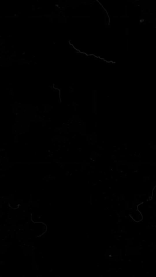 TikTok video thumbnail by w6_7f
