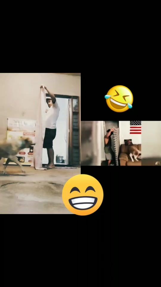 TikTok video thumbnail by jailsoncubinesunico