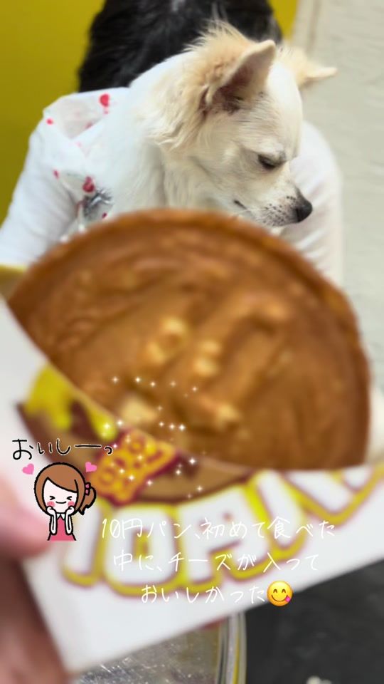 TikTok video thumbnail by tomoe173