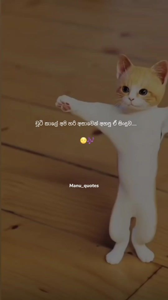 TikTok video thumbnail by _manu_quotes_