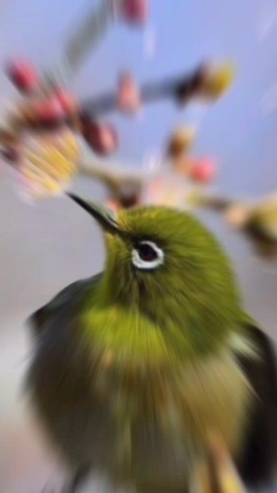 TikTok video thumbnail by ledidi.com