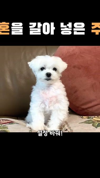 TikTok video thumbnail by duu._.boo