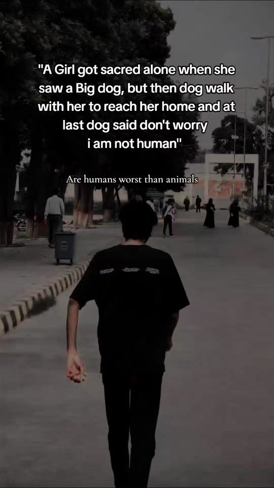 TikTok video thumbnail by m_fadi0