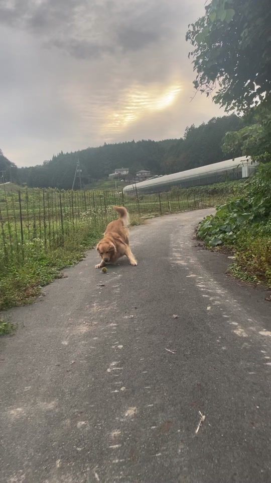 TikTok video thumbnail by kantoku04