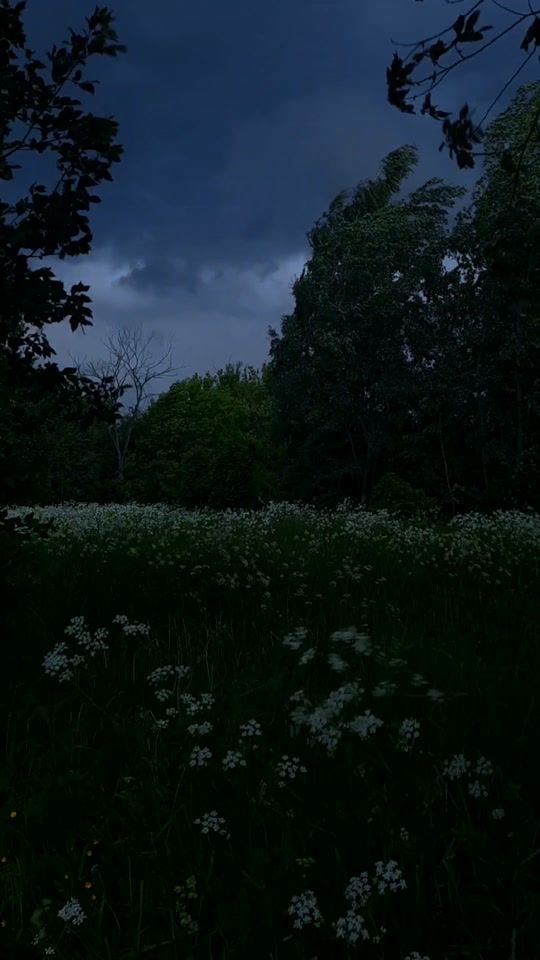 TikTok video thumbnail by ambivalenceofbeing