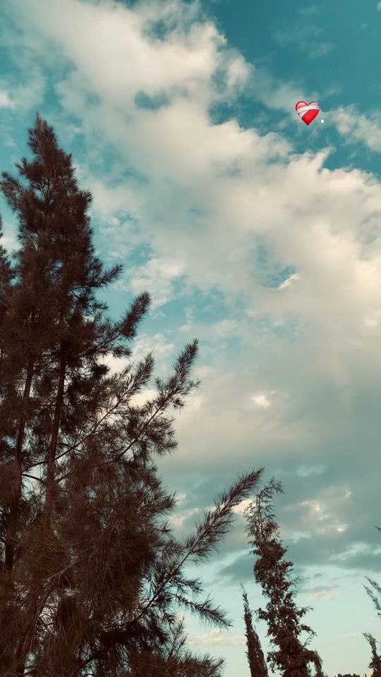 TikTok video thumbnail by nancyalqasem_