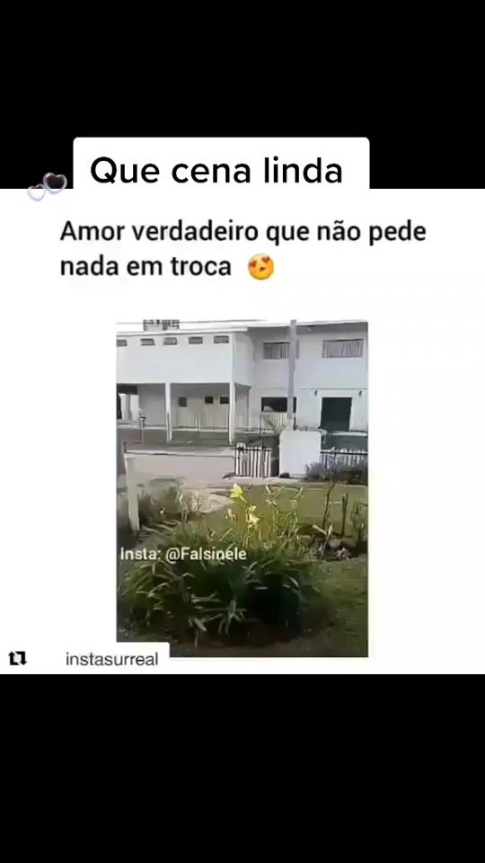 TikTok video thumbnail by taticoutypet