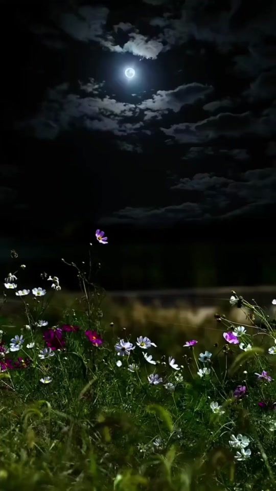 TikTok video thumbnail by a3.7b