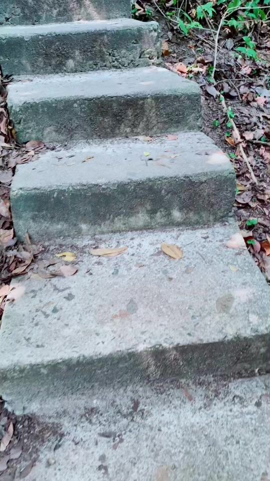 TikTok video thumbnail by sharonvazana