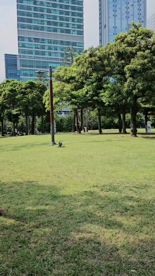 TikTok video thumbnail by salt_nim