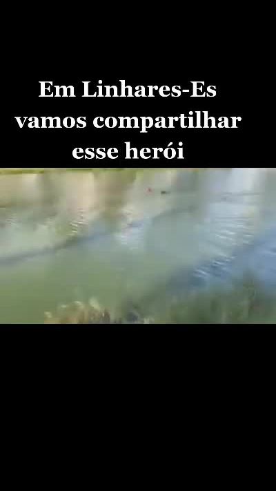 TikTok video thumbnail by taticoutypet