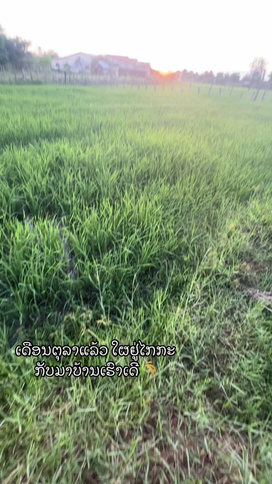 TikTok video thumbnail by .d999999d1