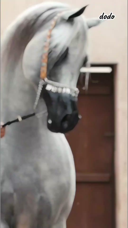 TikTok video thumbnail by d.m.y.a.n.a