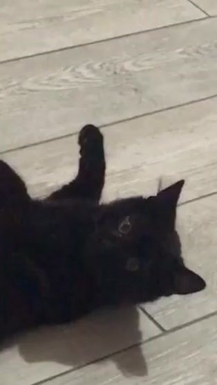 TikTok video thumbnail by gglollo7