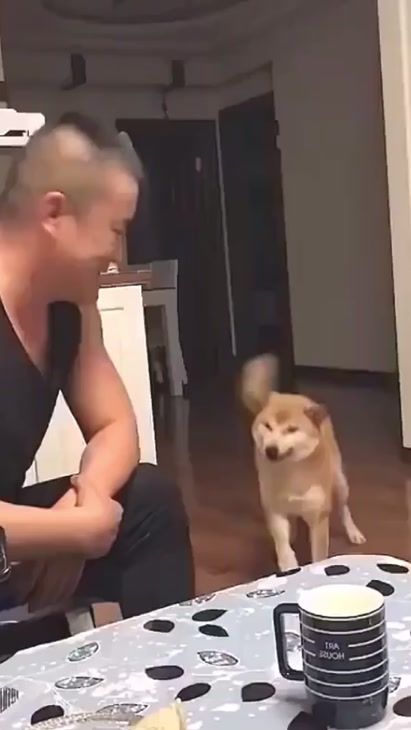 TikTok video thumbnail by puffyfluffyzoo
