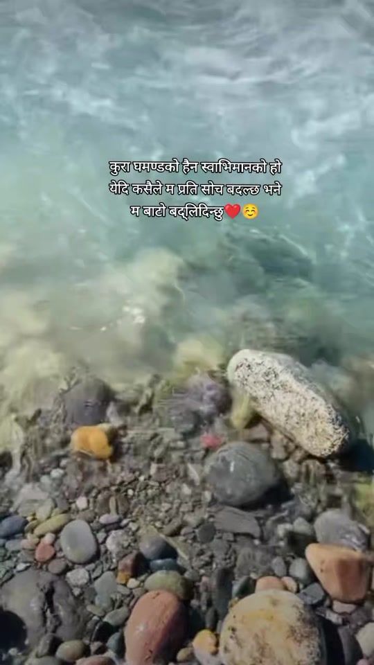 TikTok video thumbnail by esorichetrii33