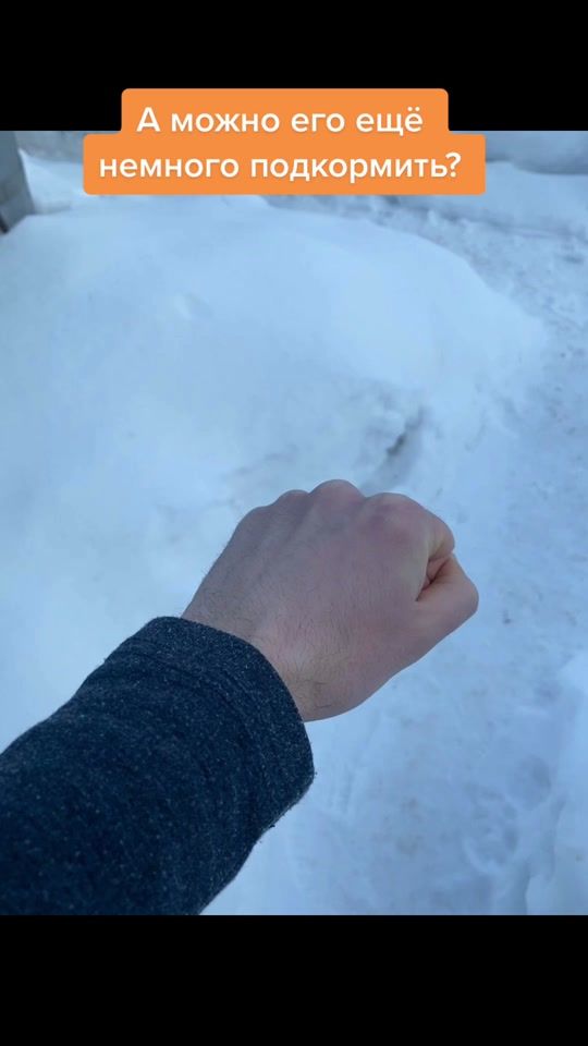 TikTok video thumbnail by dosandog