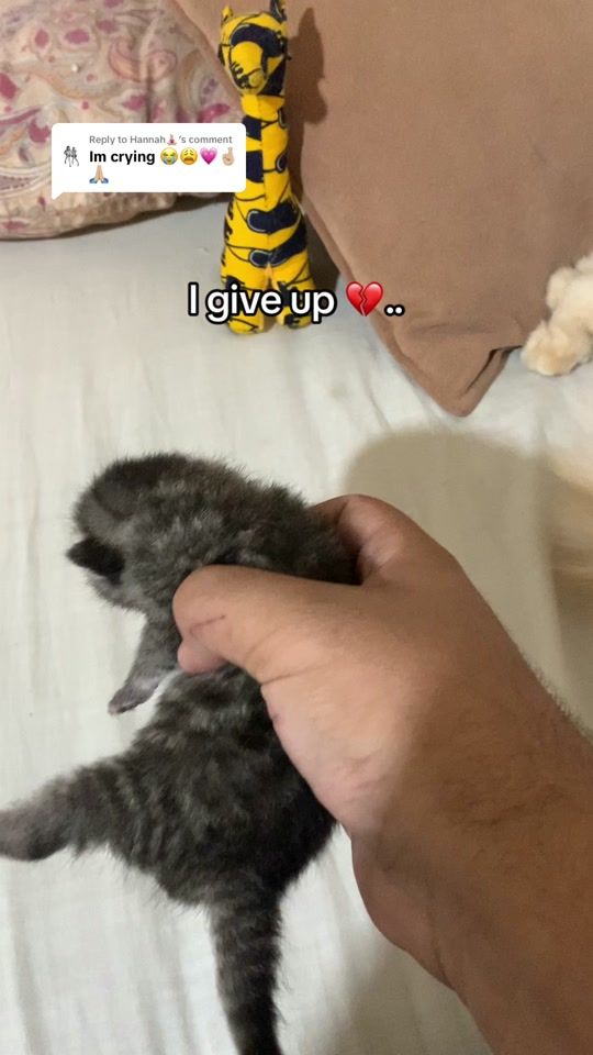 TikTok video thumbnail by pillingsadnessss