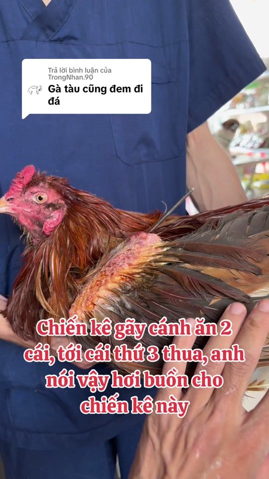 TikTok video thumbnail by bacsigadrrin