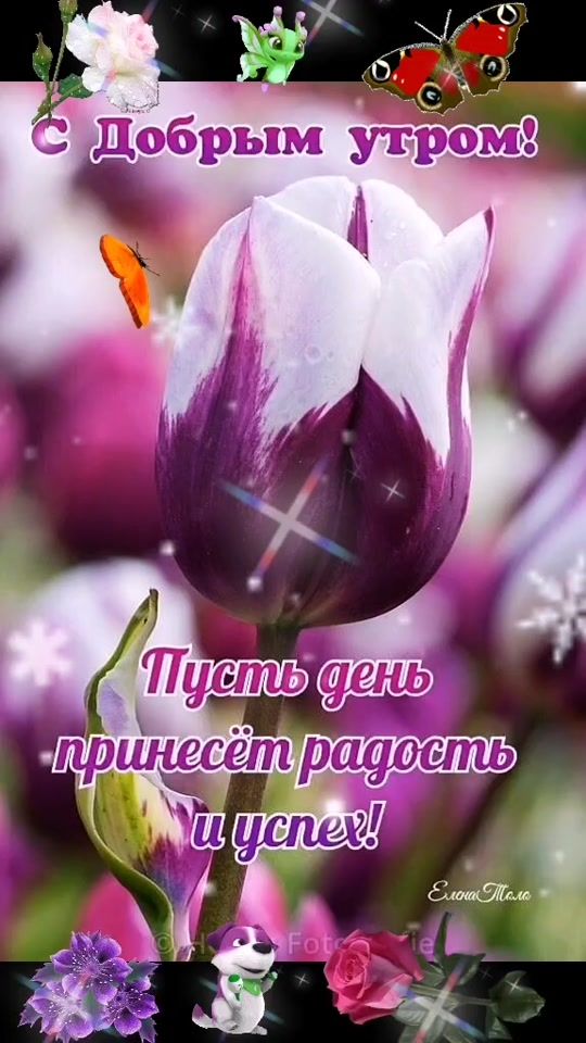 TikTok video thumbnail by nadezhda5661