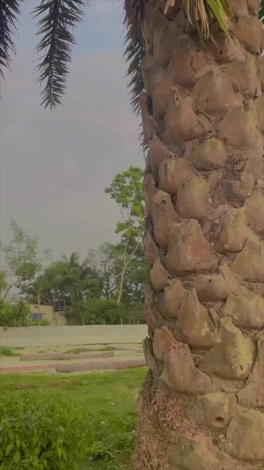 TikTok video thumbnail by fahim___zehan