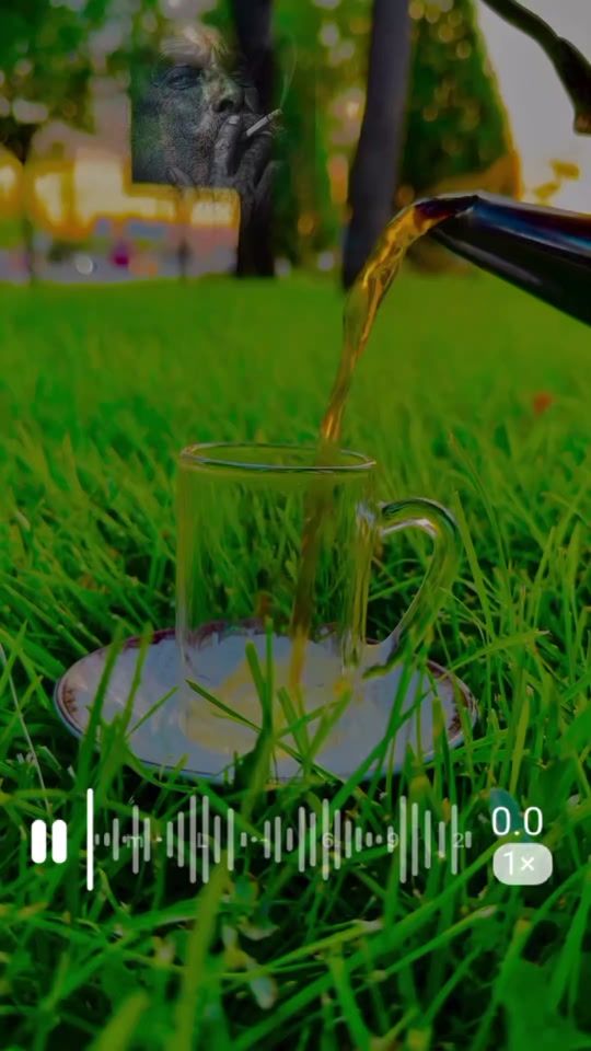 TikTok video thumbnail by a1rose1a