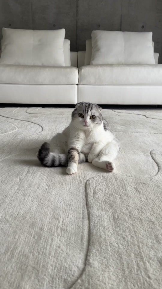 TikTok video thumbnail by muu_daybyday