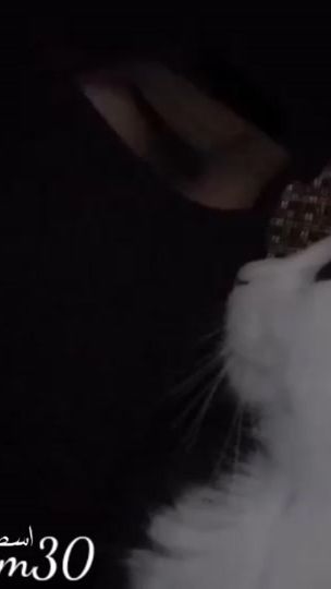 TikTok video thumbnail by memo_m30