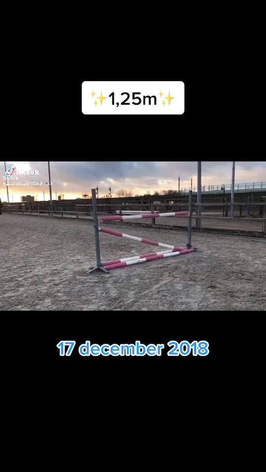 TikTok video thumbnail by welshpony_danny