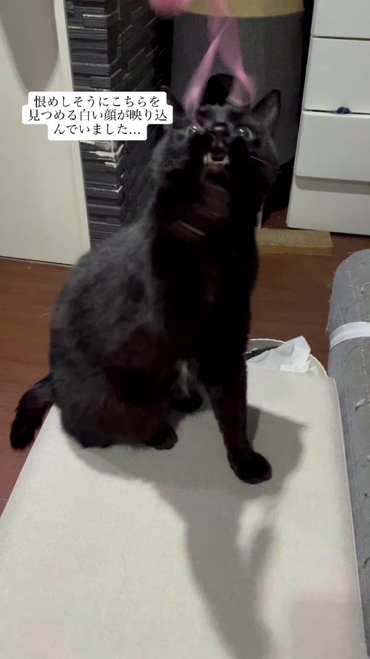 TikTok video thumbnail by rokuchan66